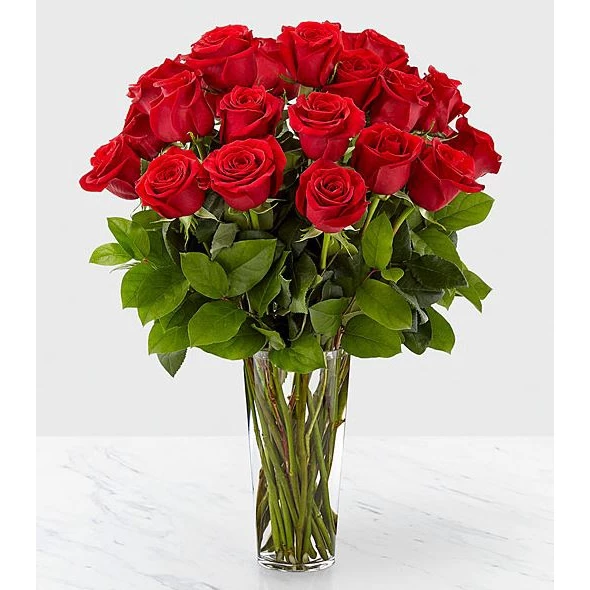 Fresh Roses l 20 Stems Bouquet for Gift, Wedding, Anniversary & Special Occasion Decoration