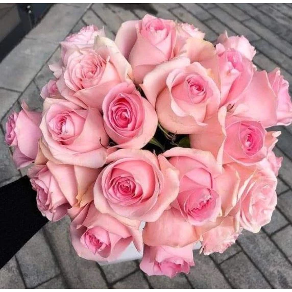 Fresh Roses l 20 Stems Bouquet for Gift, Wedding, Anniversary & Special Occasion Decoration
